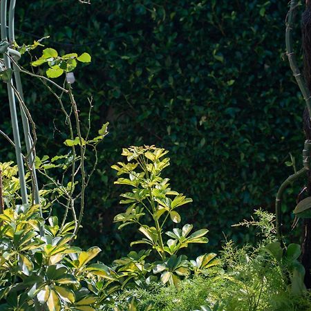 Le Soleil Boutique Hotel Dalat Bagian luar foto
