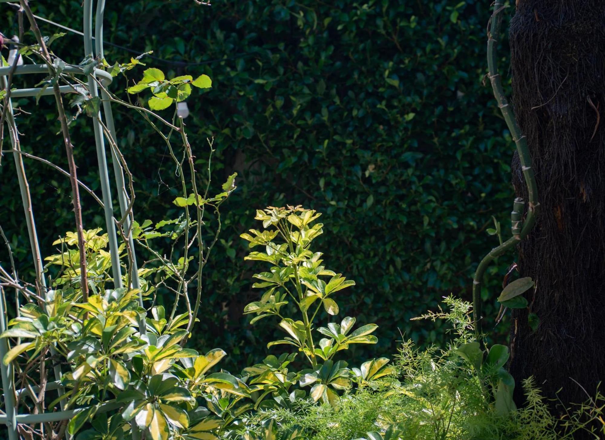 Le Soleil Boutique Hotel Dalat Bagian luar foto