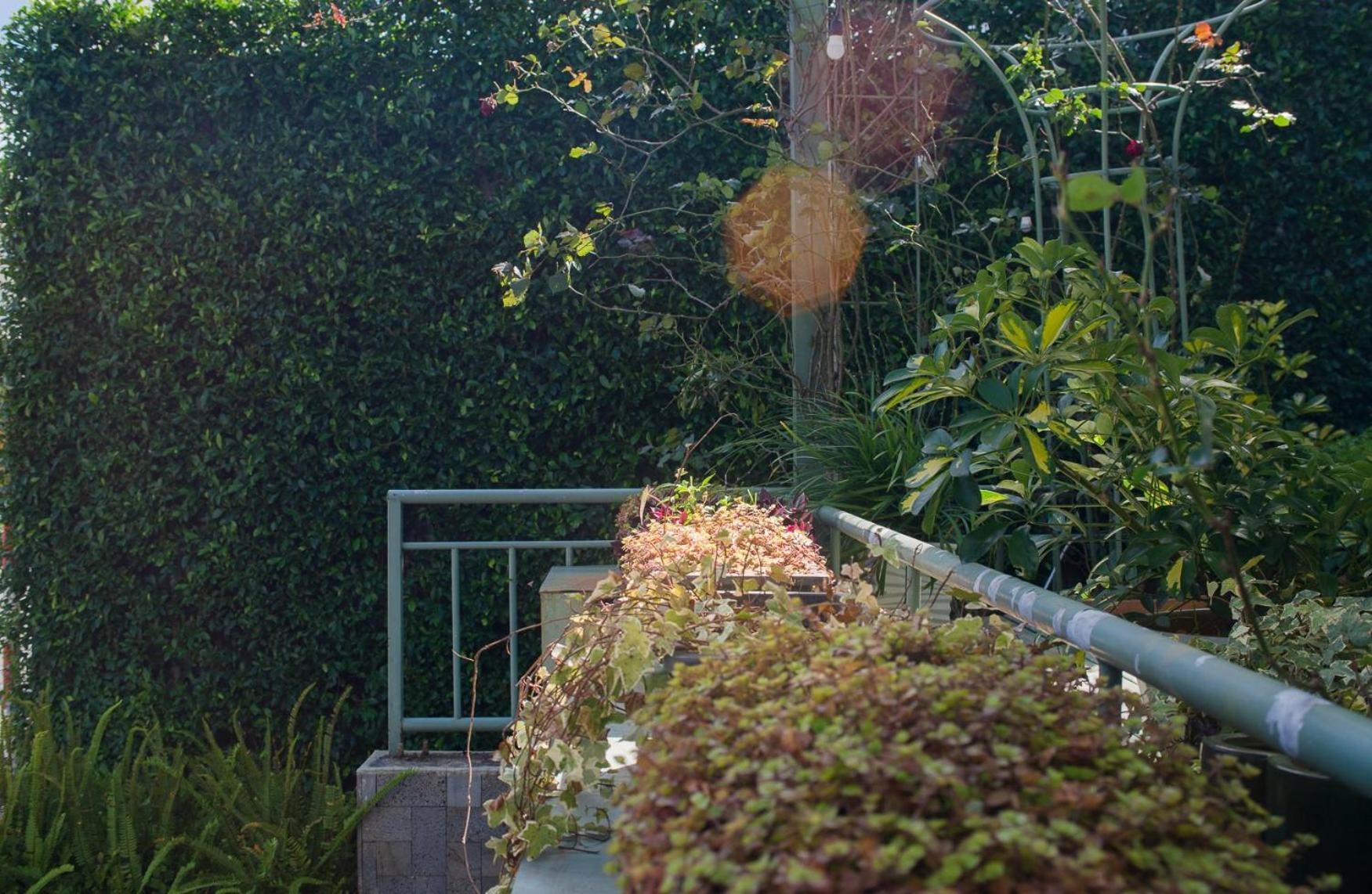 Le Soleil Boutique Hotel Dalat Bagian luar foto