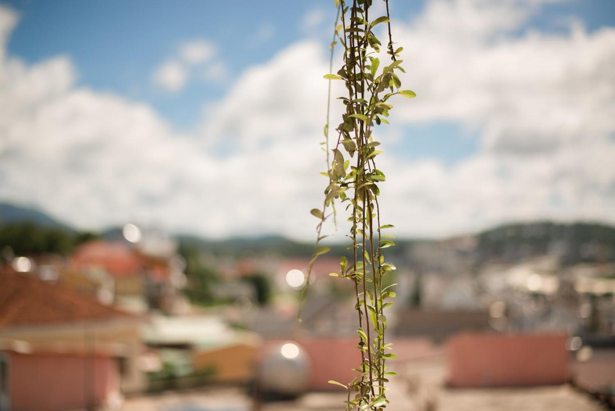 Le Soleil Boutique Hotel Dalat Bagian luar foto