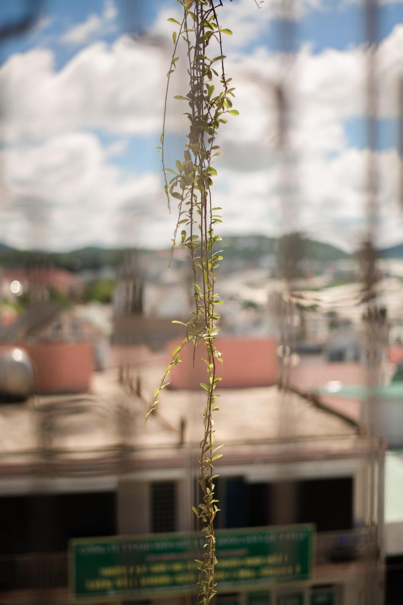 Le Soleil Boutique Hotel Dalat Bagian luar foto